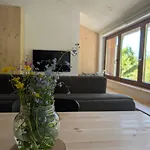 Apartmaji Pippi Apartment *